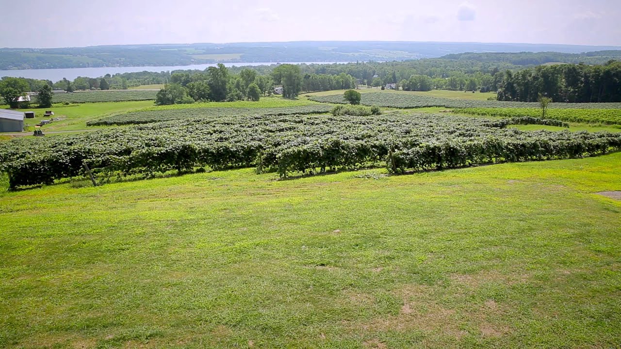Keuka Lake Wine Trail Celebrates 30 Years
