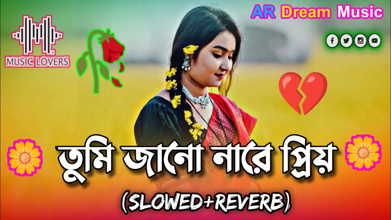 তুমি জান না রে প্রিয় | Tumi Jano Na Re Priyo  ( Slowed Reverb ) Bangla Lofi Song AR Dream Music