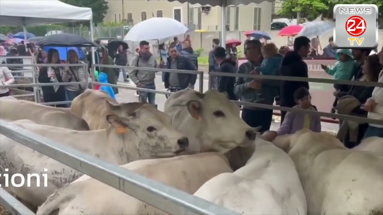 Fiera agricola del 1° maggio di Oleggio, aperte le iscrizioni