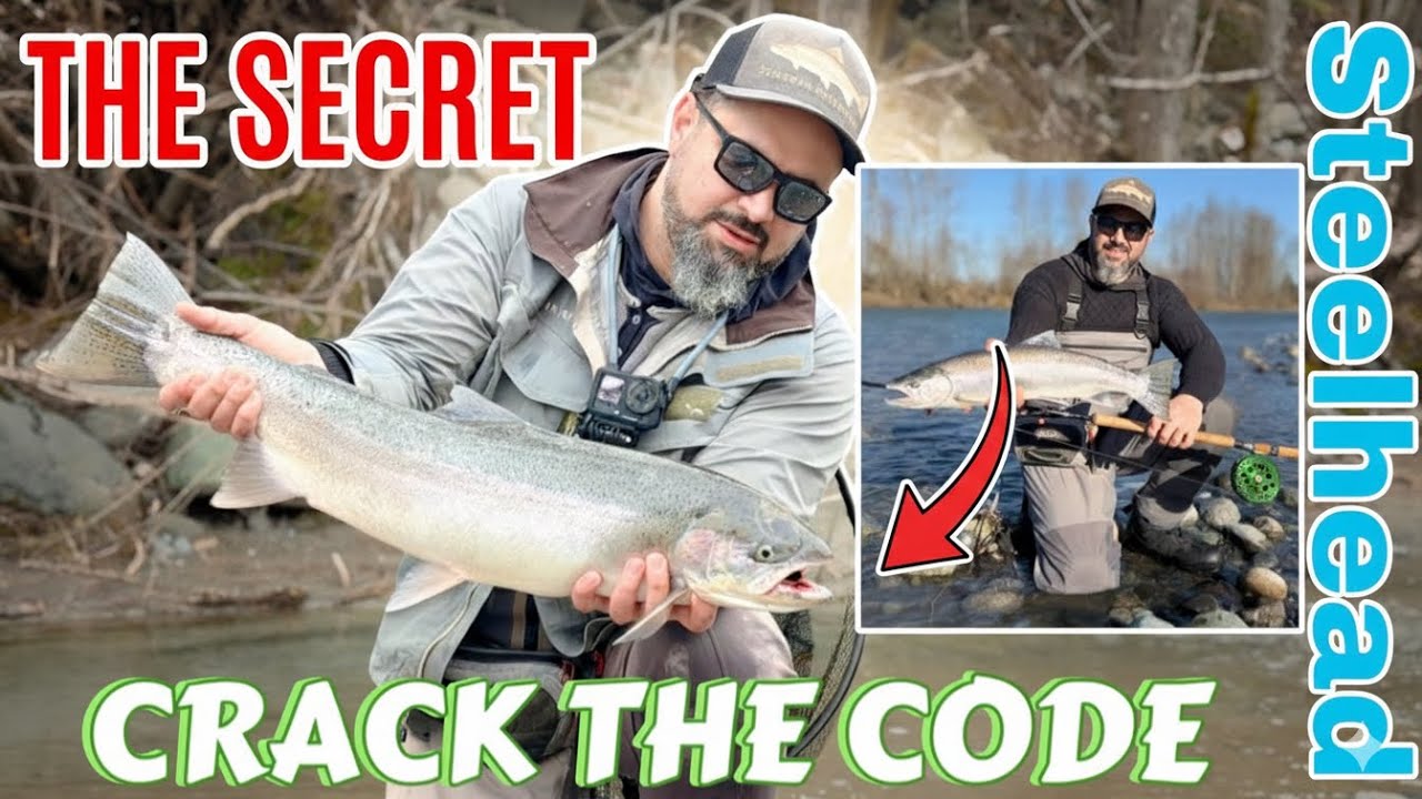 The Steelhead Secret: Why 90% of Anglers Fail Vedder River Chilliwack BC
