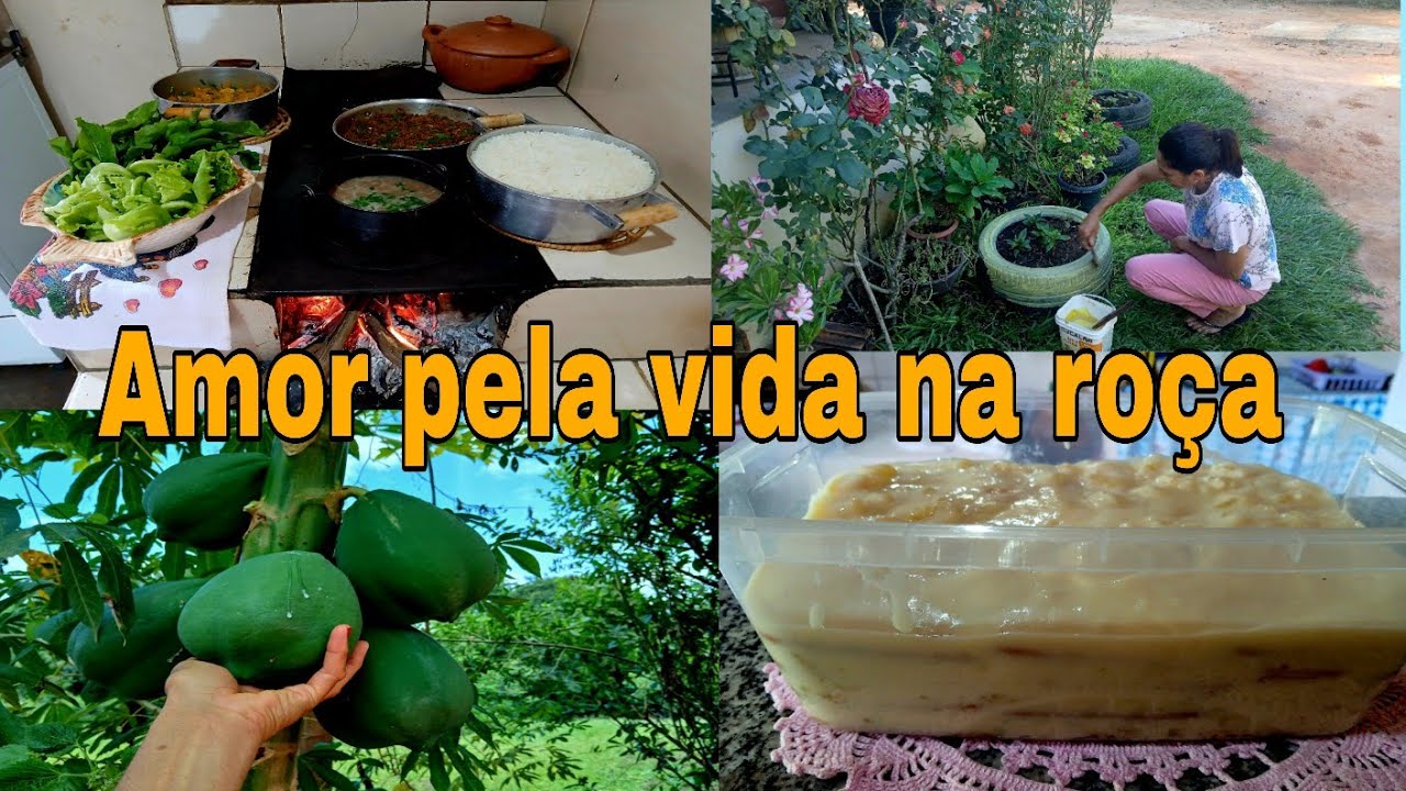 AMOR PELA VIDA NA ROÇA COMIDINHA NO FOGÃO A LENHA PINTEI OS PNEUS