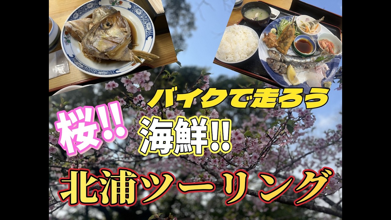 宮崎のお勧め観光スポット。延岡・北浦ツーリング