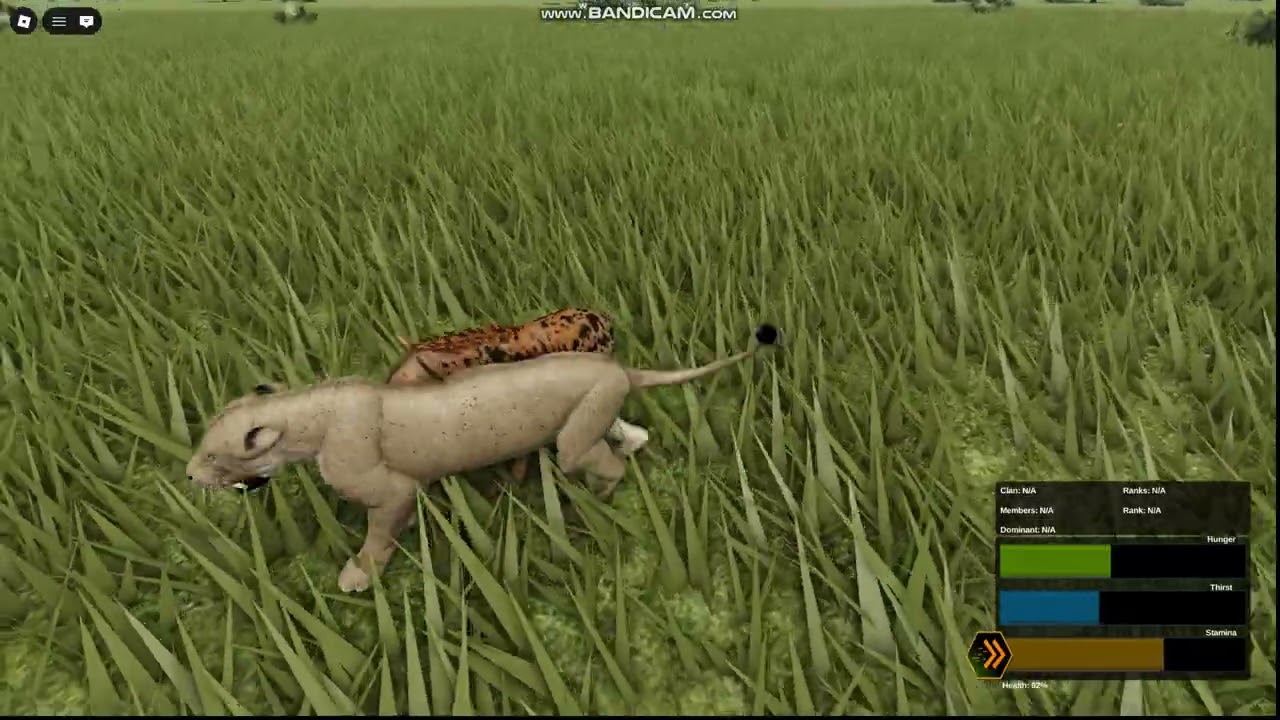 Hyena Soloing a Lioness | Wild Savannah
