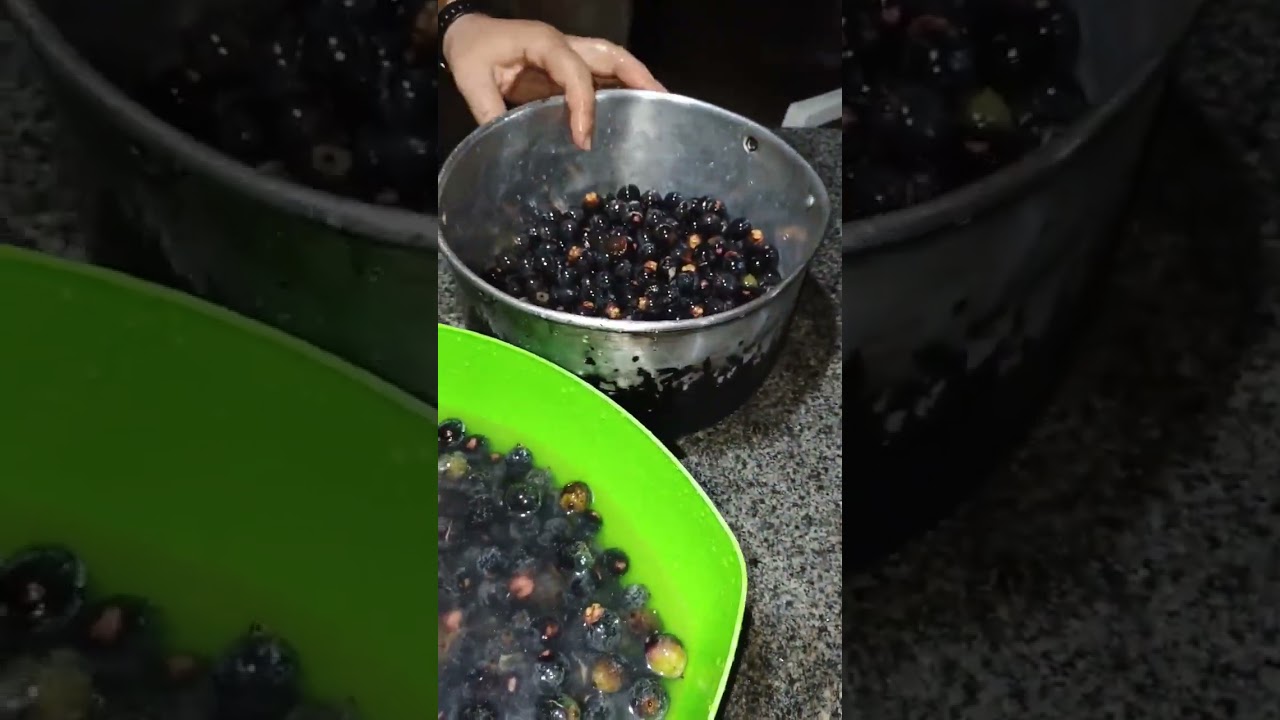 FAZENDO SUCO SE BACABA #shortvideos .