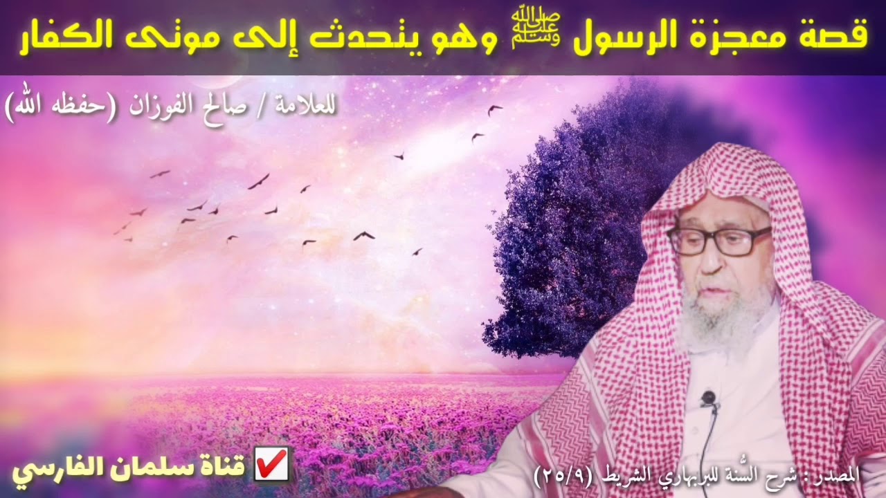 صالح الفوزان : قصة معجزة الرسول ﷺ وهو يتحدث إلى موتى الكفار وهم يسمعونه