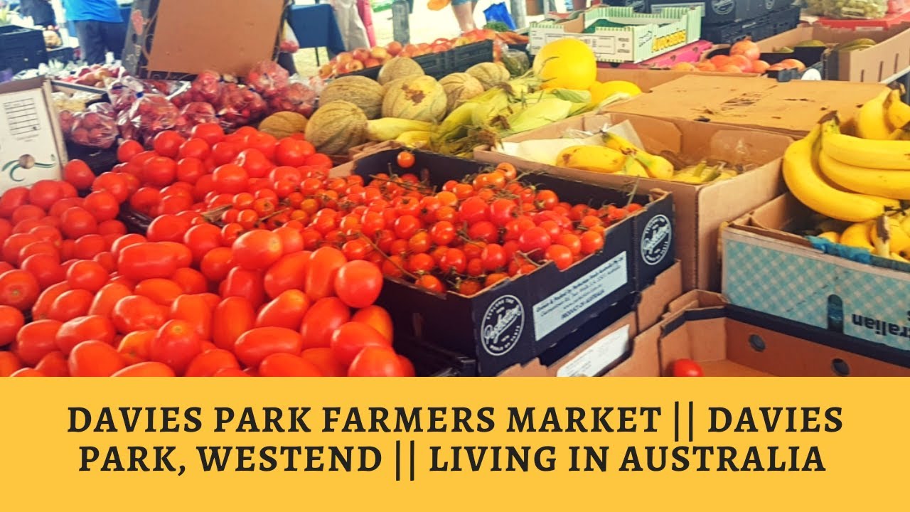 Farmers' Market in Brisbane Australia ||Davies Park, Westend ||  Living in Australia