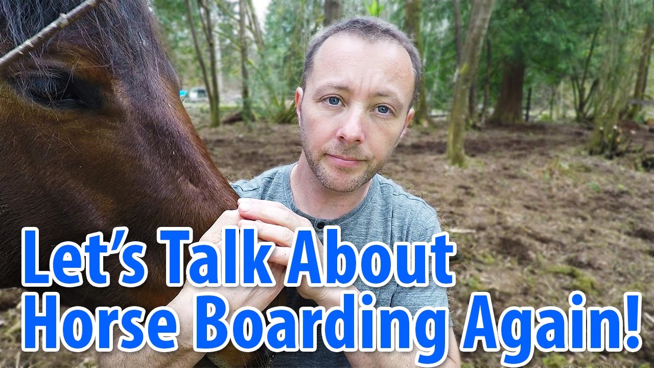 Taking Care Of Horses: Talking About Horse Boarding - Part 2