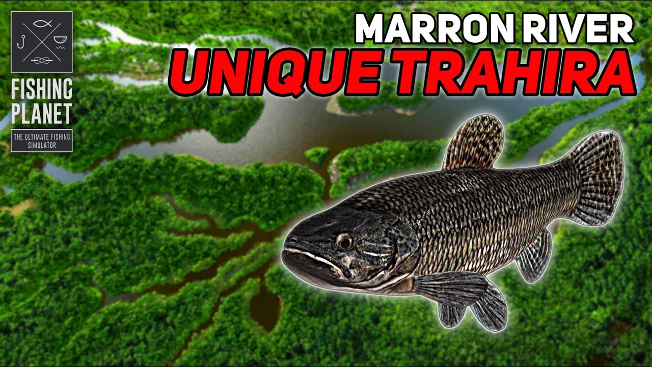 Unique Trahira Marron River - Fishing Planet