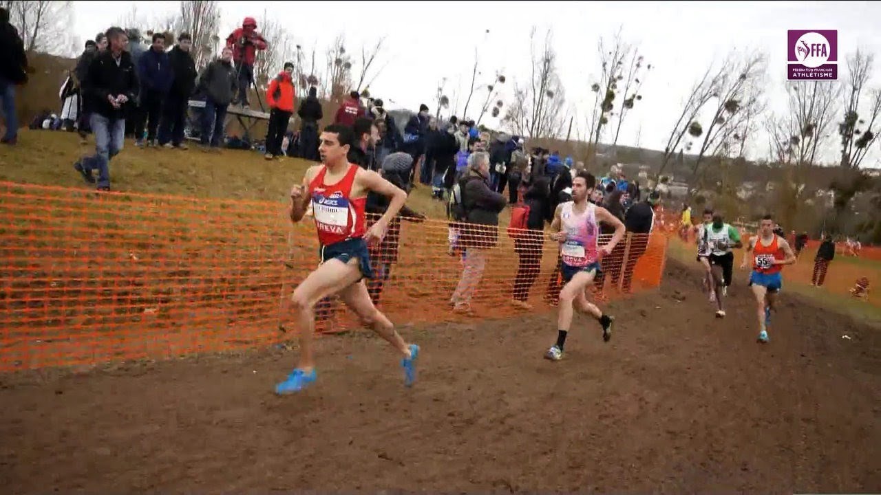 Les Mureaux 2015 : Cross long M (Victoire d'Hassan Chahdi)