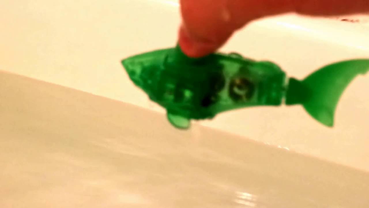 Hexbug Aqua Bot!
