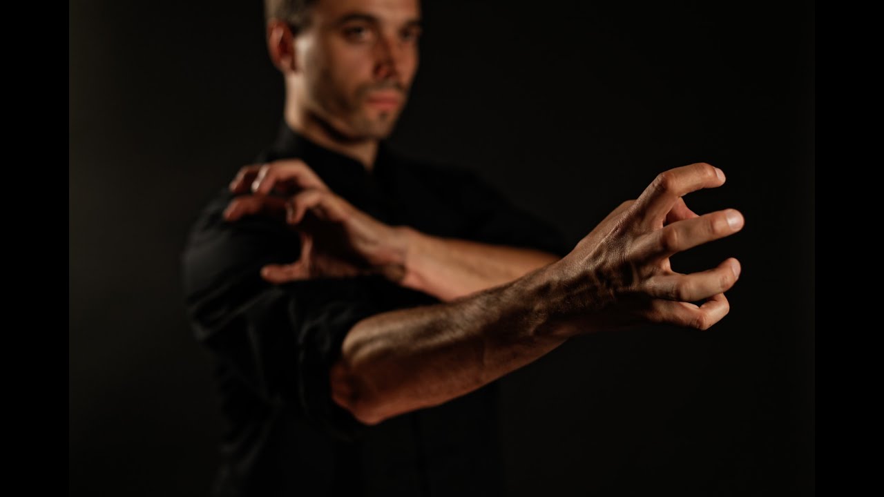 The art of lightning hands Sifu Benjamin Colussi