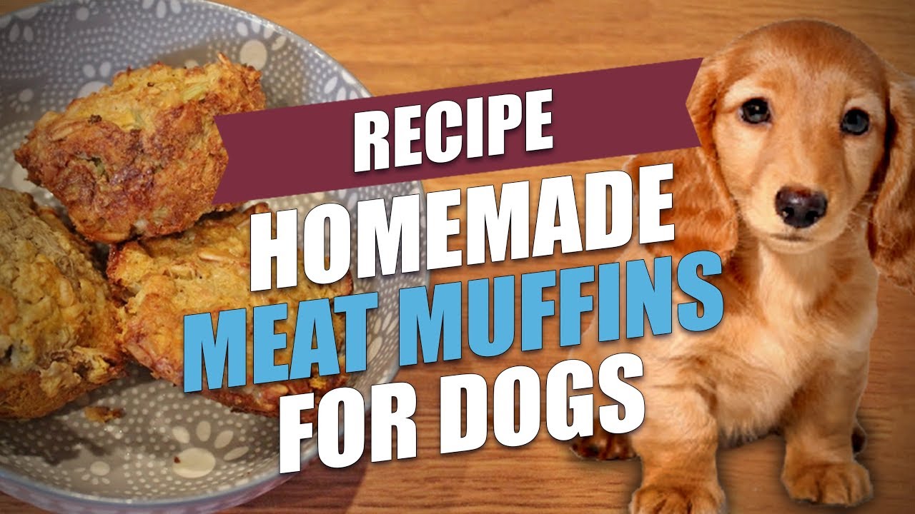 Homemade Meat Muffins for Dogs Recipe