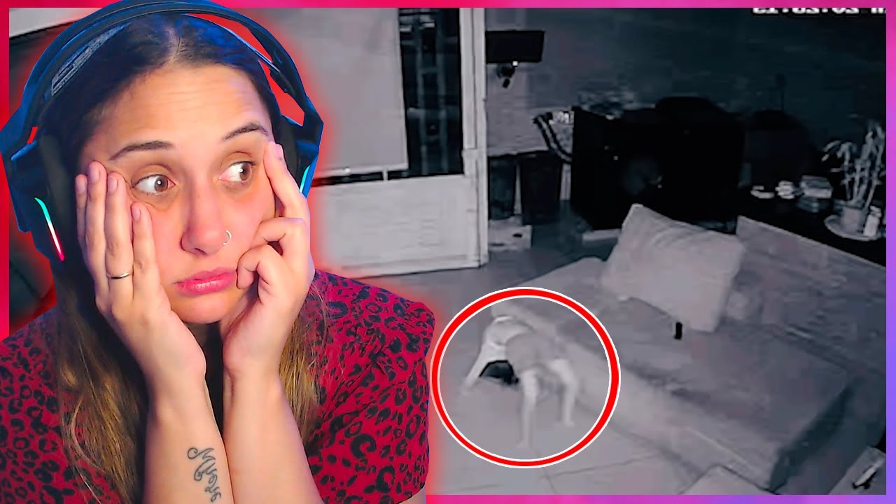 REACCIONANDO A COSAS INCREIBLES CAPTADAS POR CAMARA 📹
