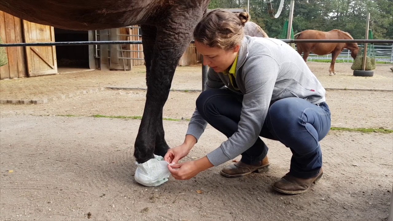 How to - Hufverband mit Windeln