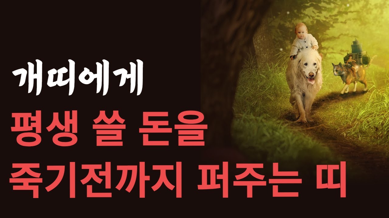 개띠! 부자가 되고싶으면 OO 띠랑 어울리면 됩니다! 개띠에게 최고 좋은 귀인띠 말도 못할 큰 행운이 들어옵니다! 대박터지는 띠궁합 천복귀인 밀어주는 개띠