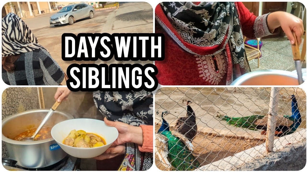 Cozy Winter Holidays with Siblings ❄️ | Relaxing Family Days Vlog | Aloo Chicken & Mator Rice Recipe