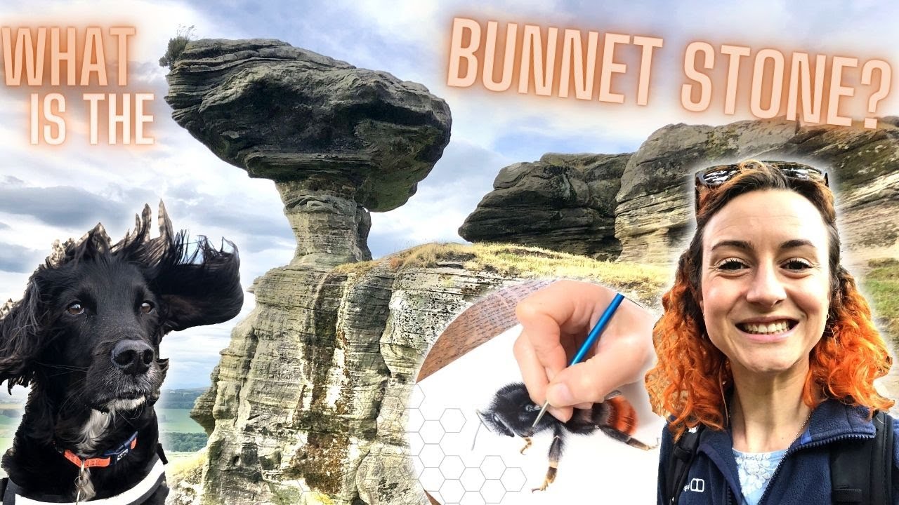 What is the MYSTERIOUS 'Bunnet Stone'?? - West Lomond + Painting a Bumblebee In Watercolour - Ep24