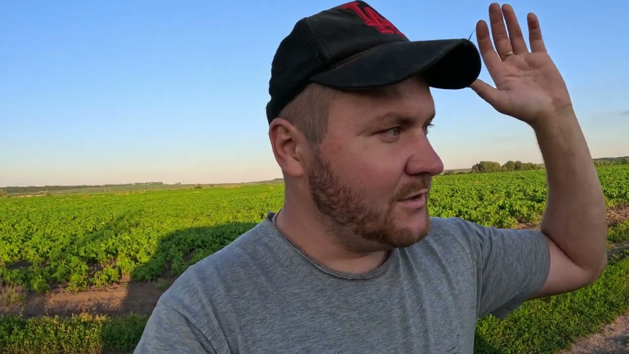 ЧИ ПОТРІБНІ ГУМАТИ НА СОЮ❓ЕКСПЕРЕМЕНТУЄМО❗️