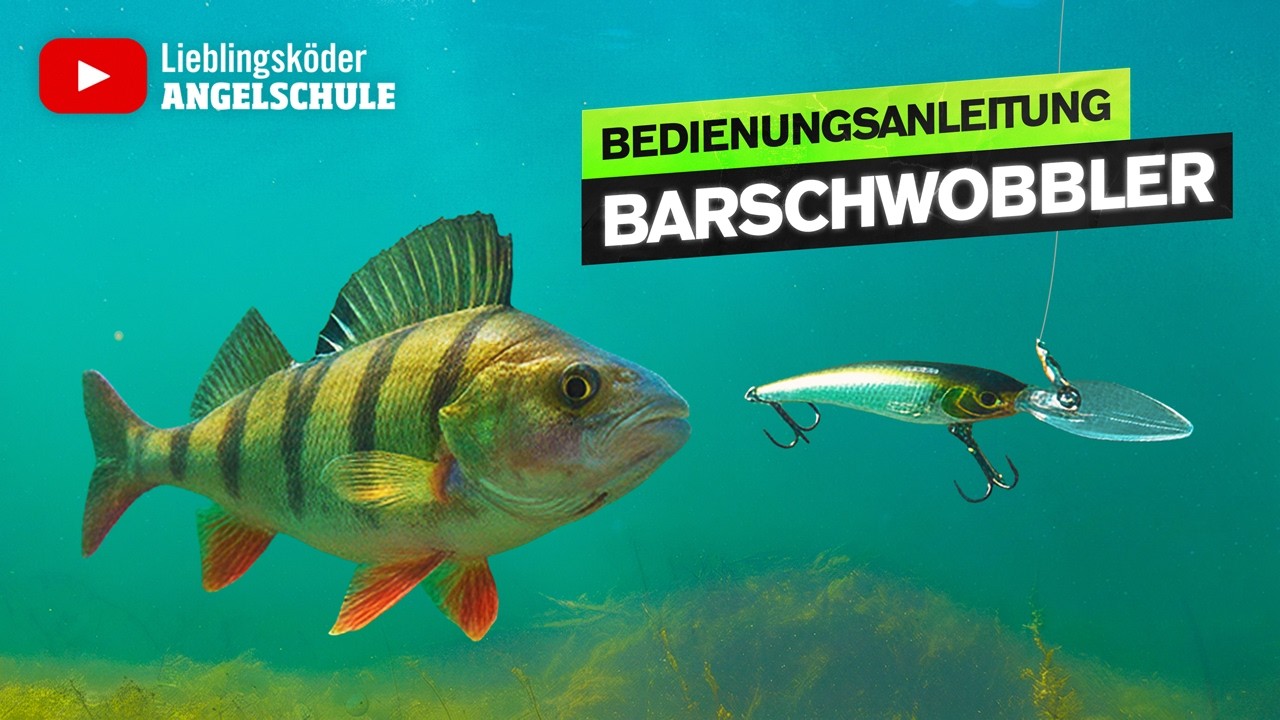 Bedienungsanleitung BARSCHWOBBLER 🎣🔥