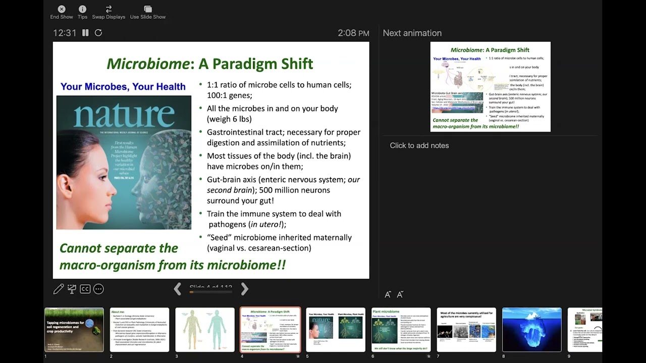 Orchid Mycorrhizal Relationships