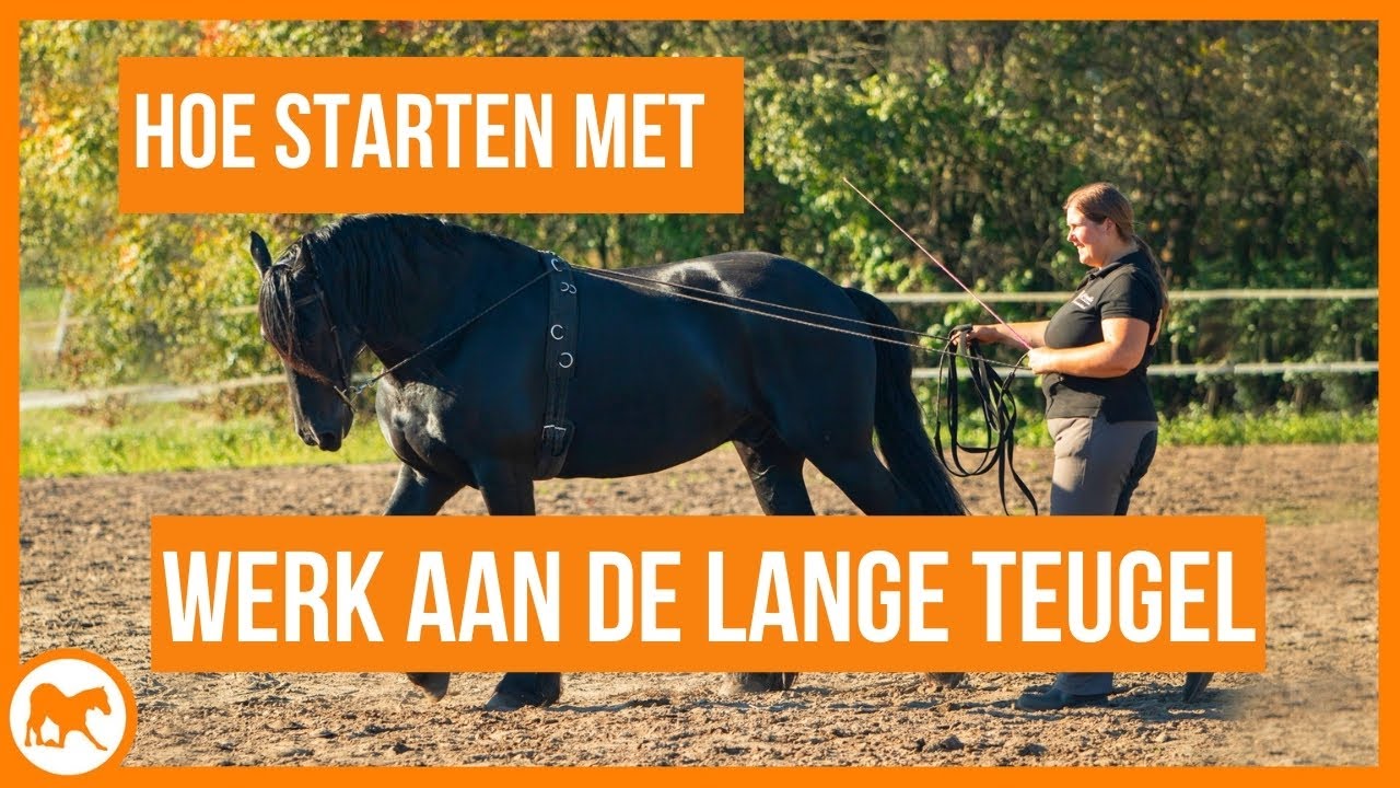 Beginnen met werken aan de Lange Teugel
