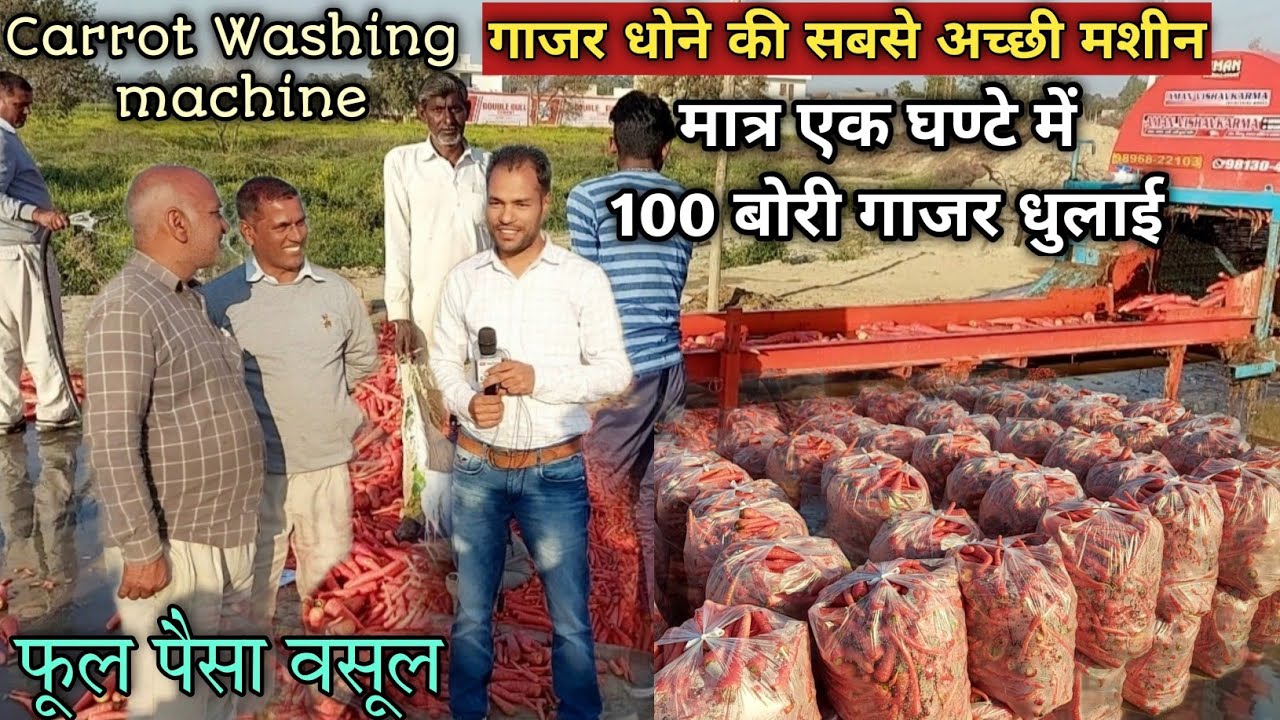 गाजर धोने की No.1 भारतीय मशीन👍1 घण्टे में 100 क्विंटल गाजर साफ🔝Carrot washing machine 📲 9813900312