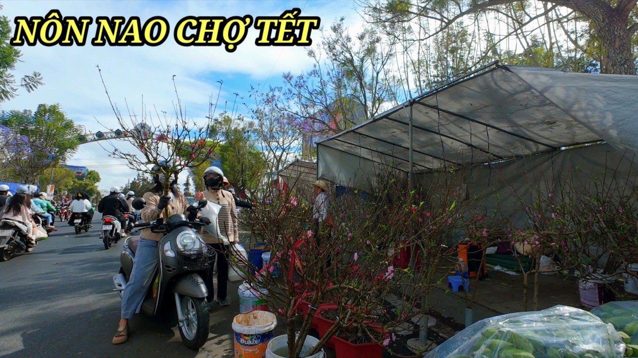 Nhìn cảnh chợ thấy tết nôn nao, Đà Lạt ngập tràn sắc xuân