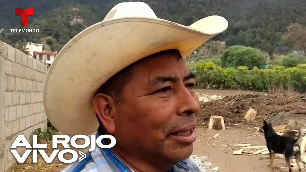 Habitantes aseguran que extraña criatura está atacando animales en Guatemala