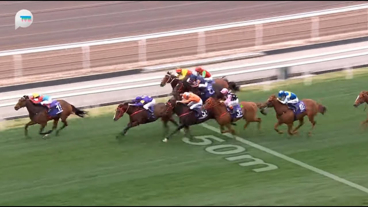 HKJC女皇銀禧紀念盃 Queen's Silver Jubilee Cup 一級賽 G1 1400m 2025-02-23 嘉應高昇 KA YING RISING 沙田馬場 Shatin Racec