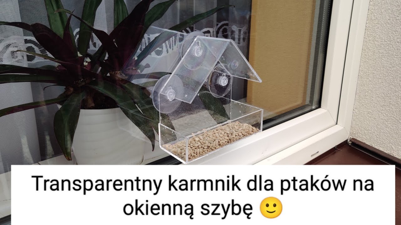 Transparentny karmnik dla ptak&oacute;w na okienną szybę 🙂