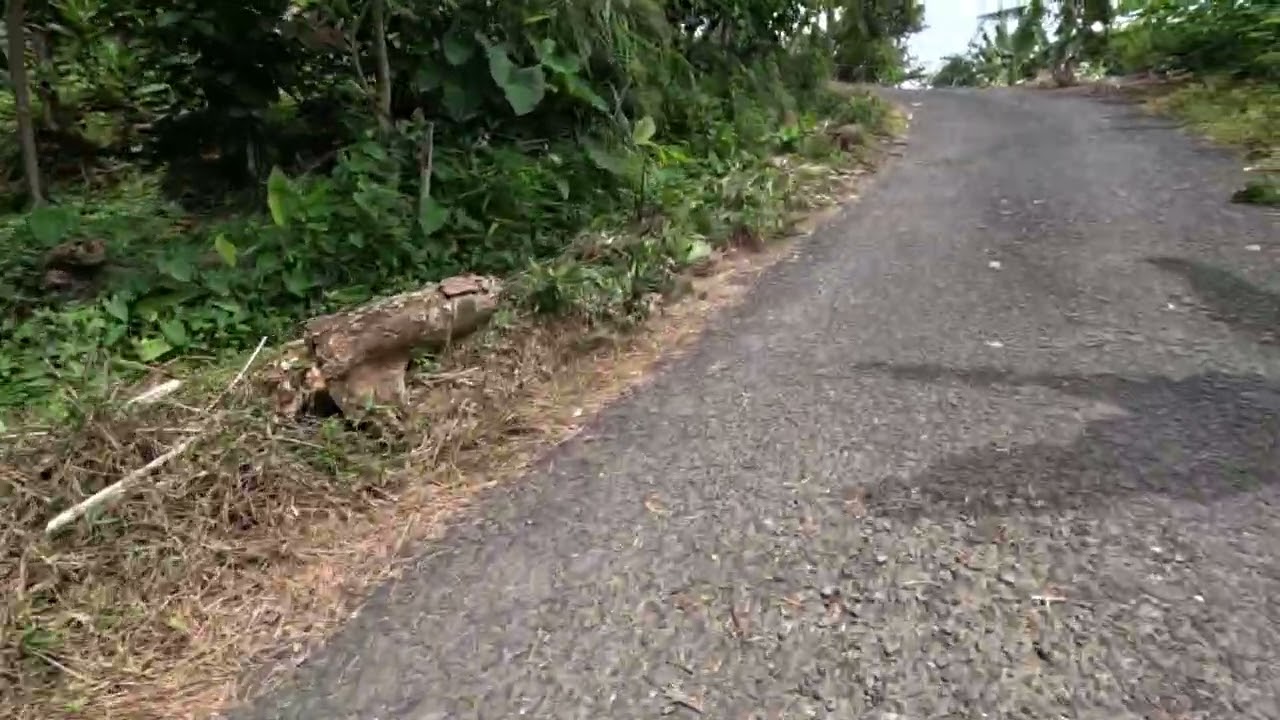 kondisi ruas jalan gejos - tlagasana new