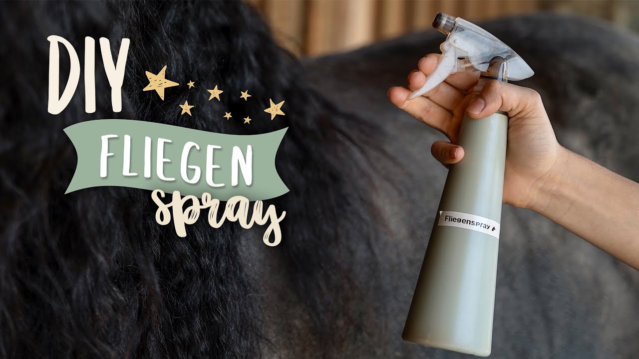 DIY FLIEGENSPRAY | einfach & günstig | Pilsali
