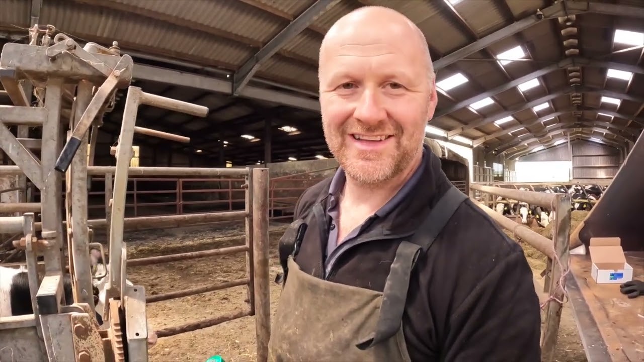 JUNE on our WELSH DAIRY FARM