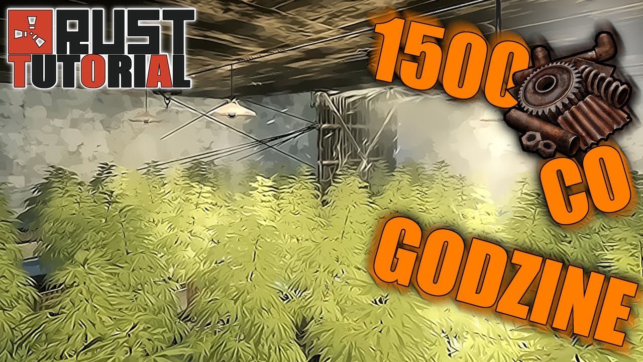 Rust Tutorial - 1500 scrapa co GODZINE! Nowa Meta