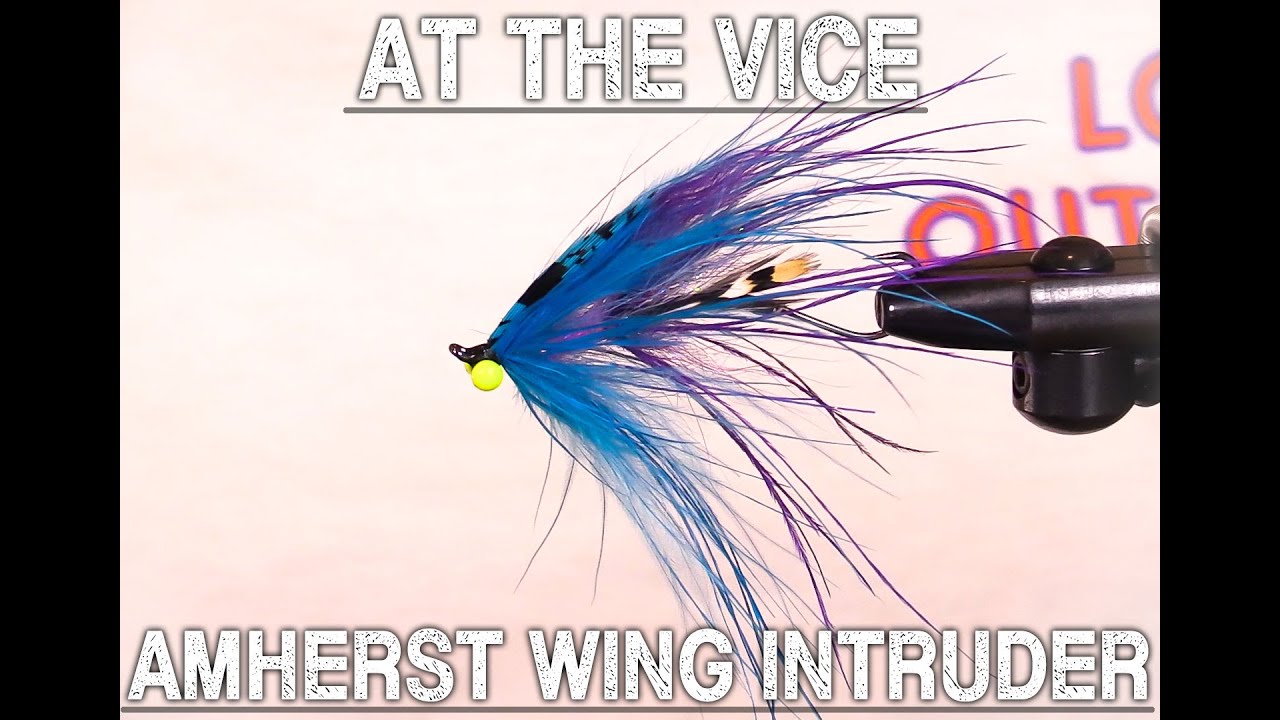 Amherst Wing Intruder | At The Vise W/ AFS