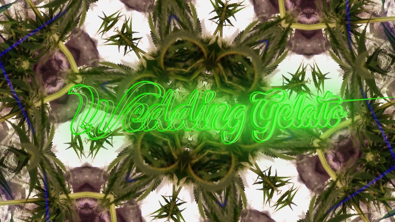 Wedding Gelato Week 2 Flower