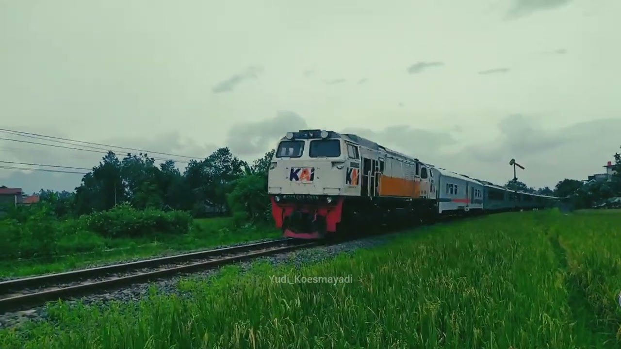 Kereta Api Malabar ngebut di pesawahan Indihiang Tasikmalaya #keretaapiindonesia #kamalabar