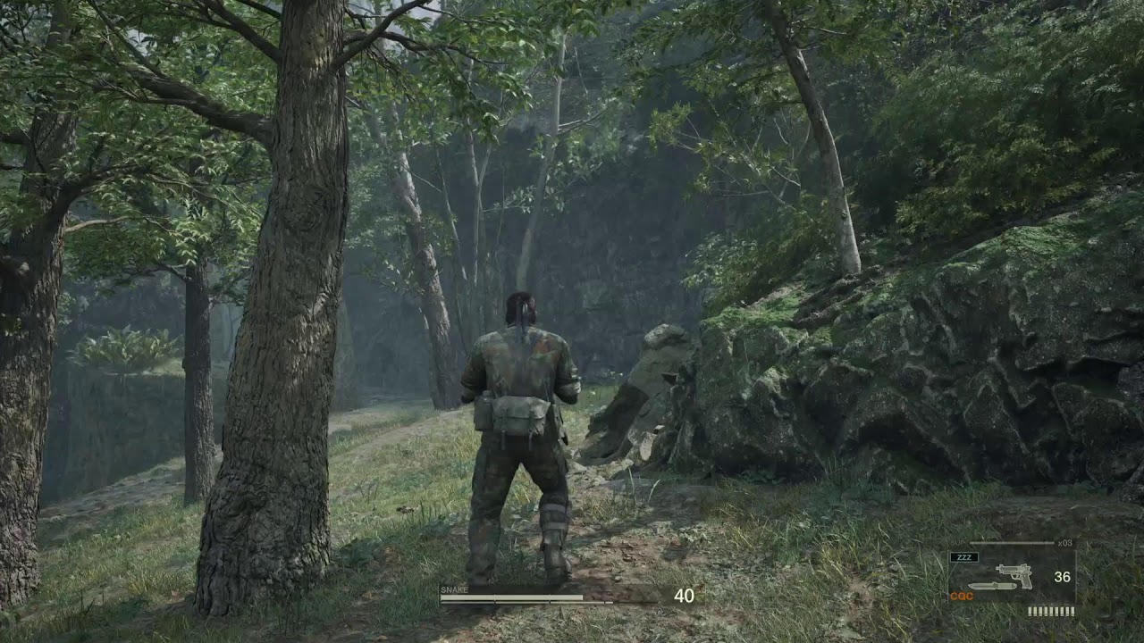 Metal Gear Delta