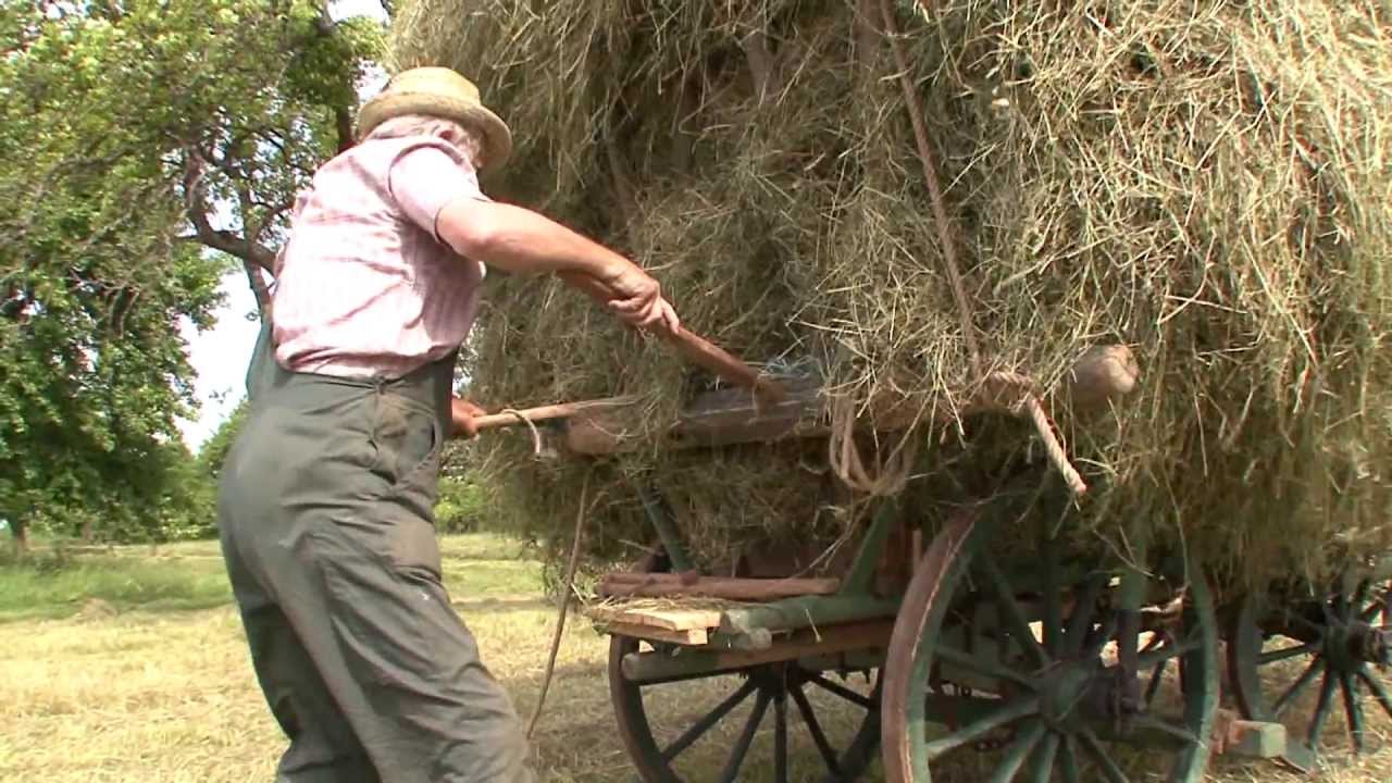 650 Jahre Rübgarten_Der Heuwagen