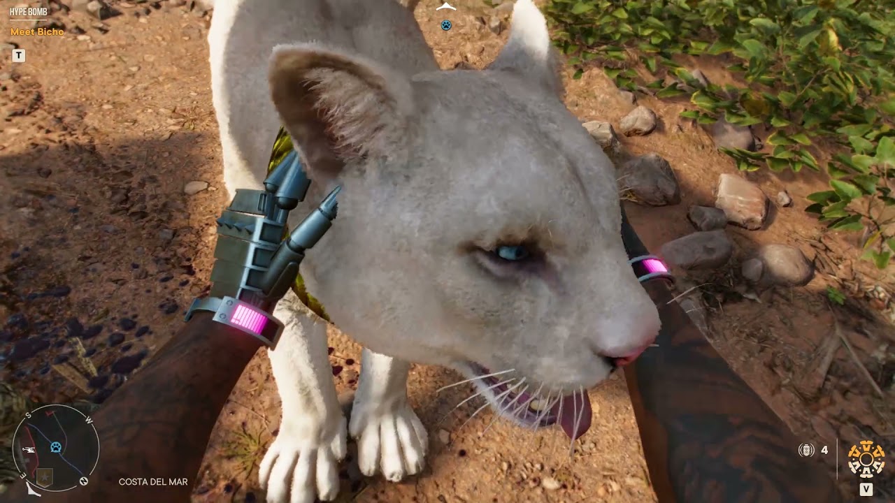 Far Cry 6 Amigo Champagne Gameplay