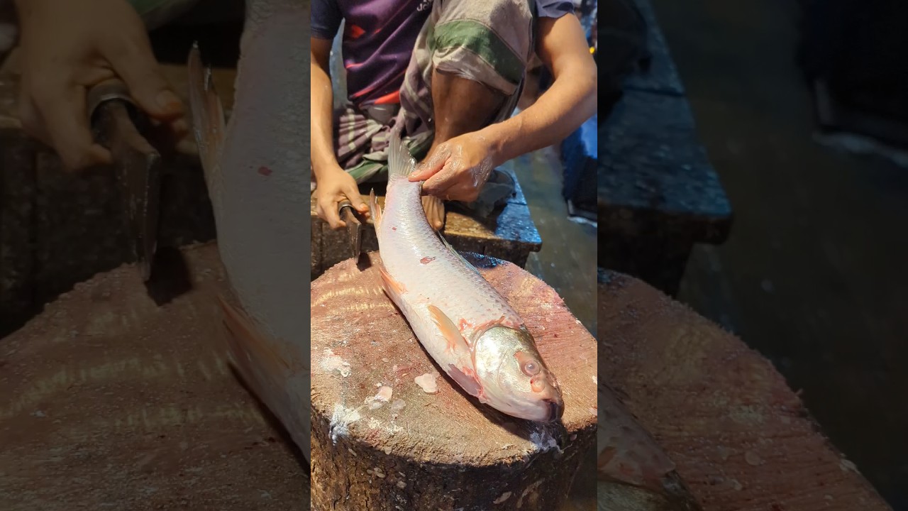 Amazing Big Mrigal Fish Cutting Skills Live In BD Fish7#Market