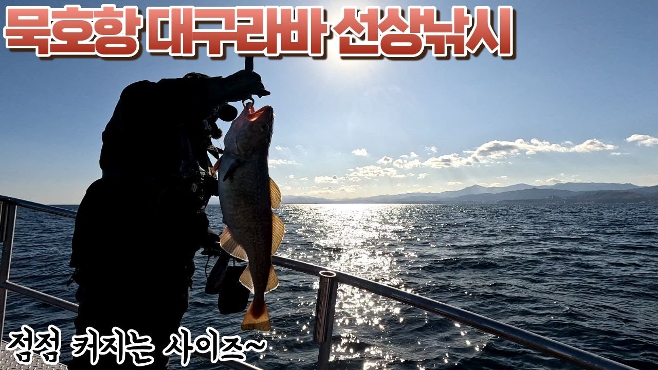 묵호항 12월 6일 대구라바 [쌈바호]