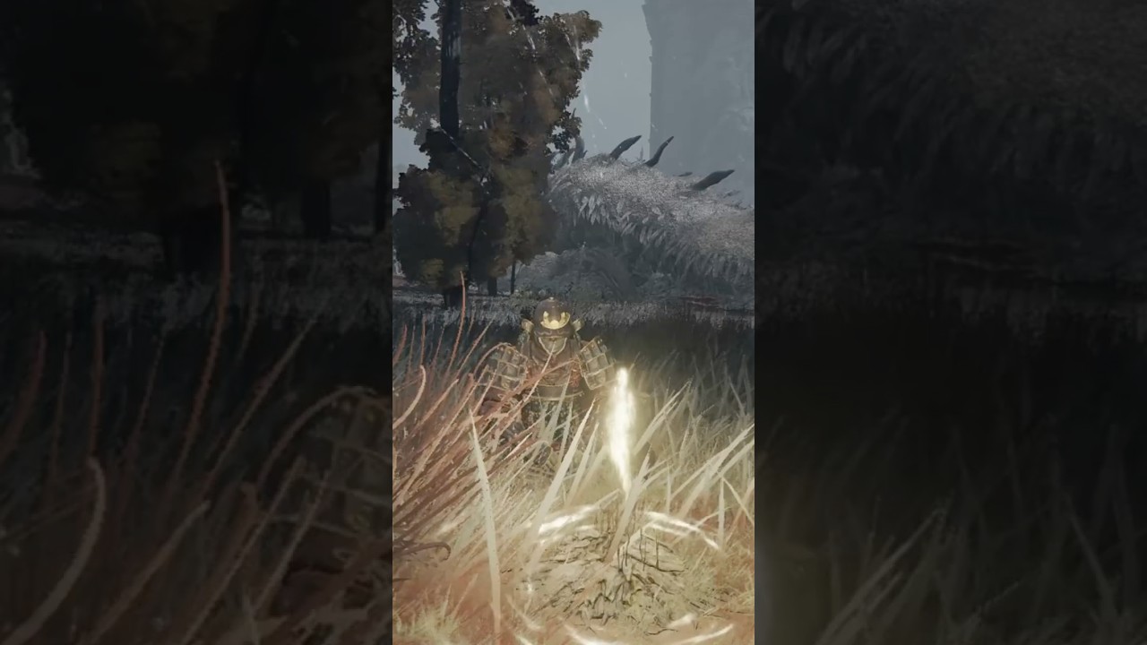 Unlimited Rune Farming Glitch - Elder Dragon Greyoll