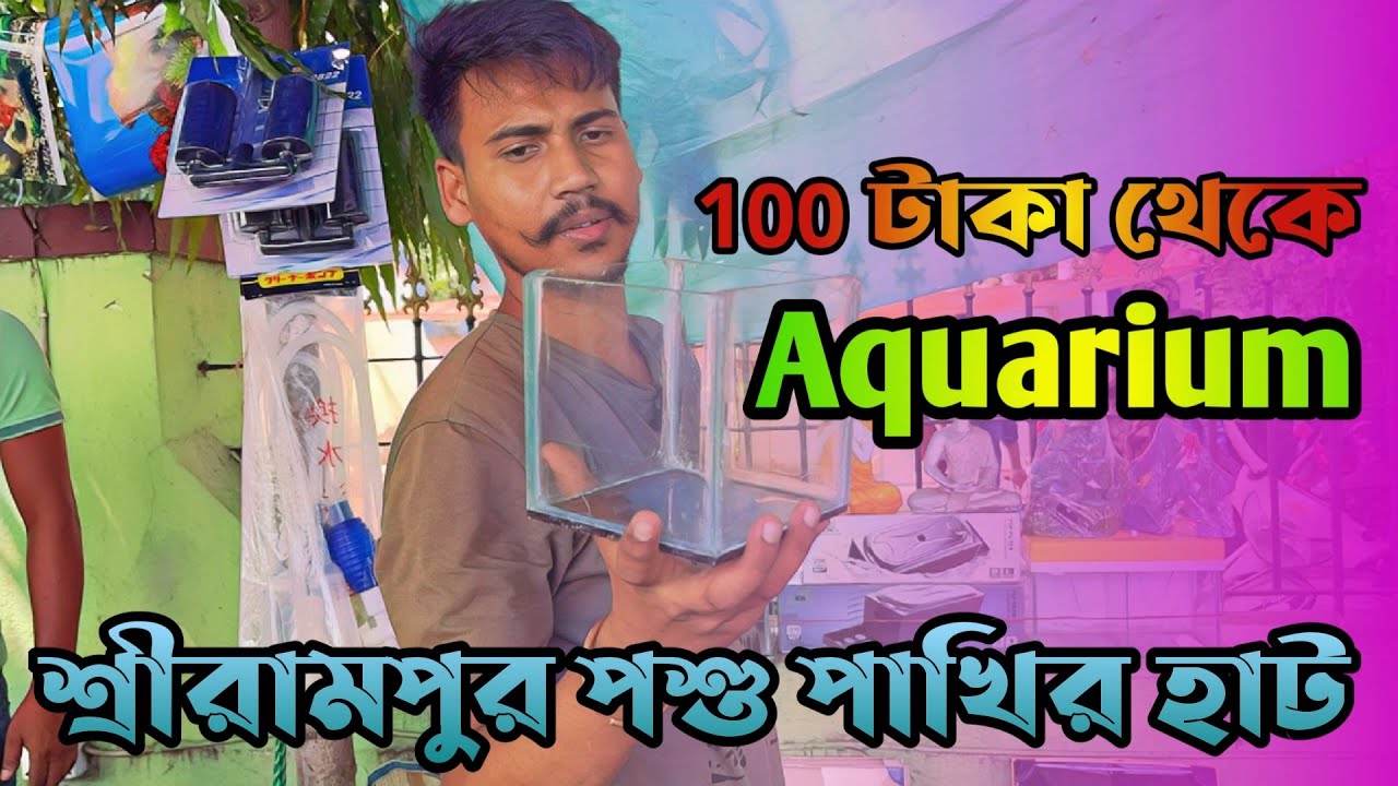 Аквариум от 100 тк в Серампуре Шляпе | Серампурский рыбный рынок домашних животных | Рыбный рынок...
