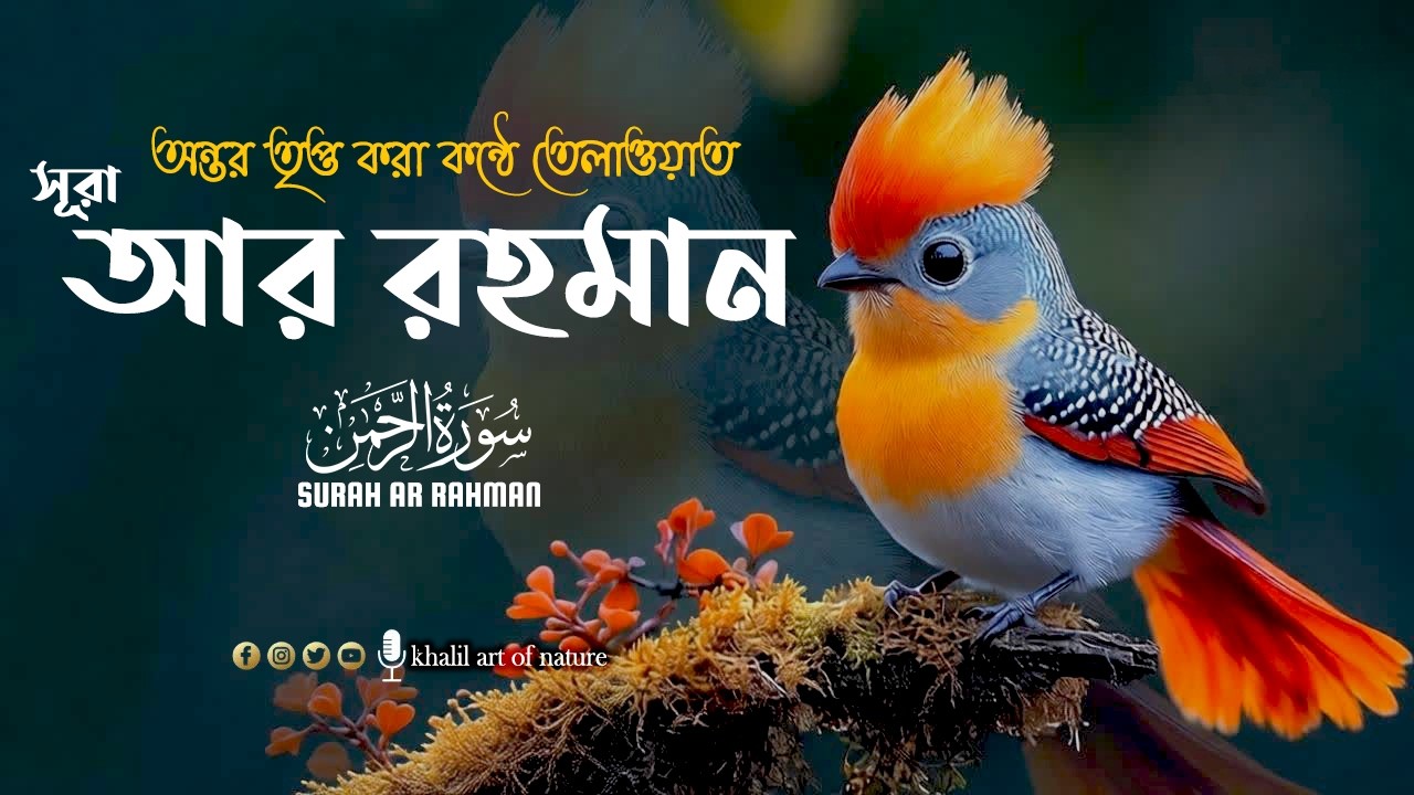 সূরা আর রহমান  (سورة الرحمن)surah ar rahman,soothing voice,khalil art of nature