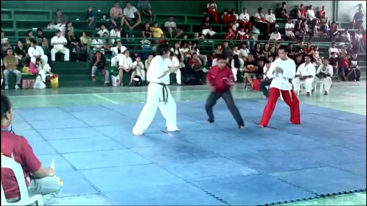 Сикаран против карате, тайского бокса и TKD