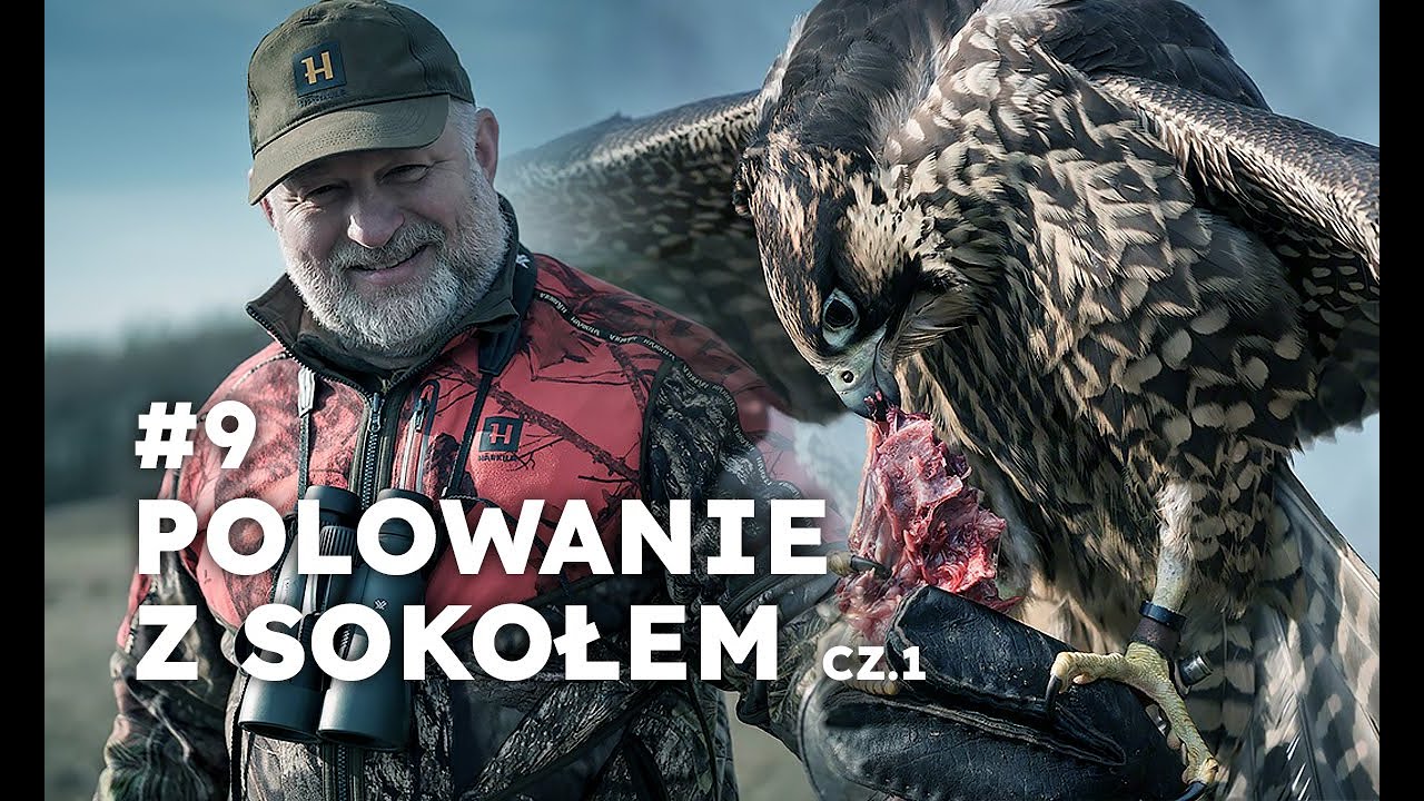 #9 Polowanie z sokołem cz.1