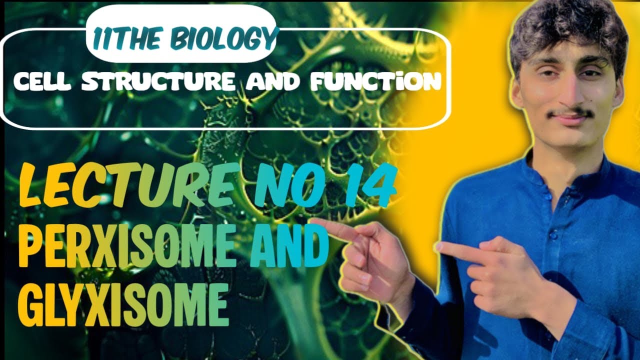 Lecture No 14 PEROXSOME AND GLYXISOME