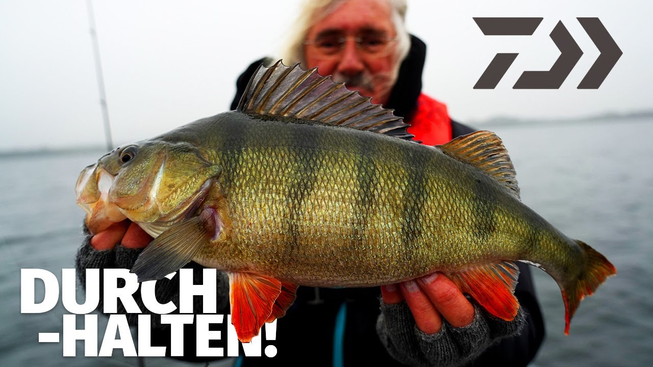 DAIWA: CHANCEN NUTZEN auf GROßFISCH im WINTER – RAUBFISCHANGELN mit JÖRG OVENS – Fang mal was!