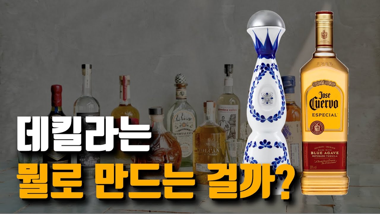 미국 셀럽들이 데킬라를 만드는 이유 / 데킬라의 모든 것